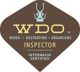 1576294691_WDOInspector 1